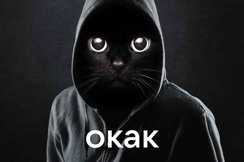 Кот Окак